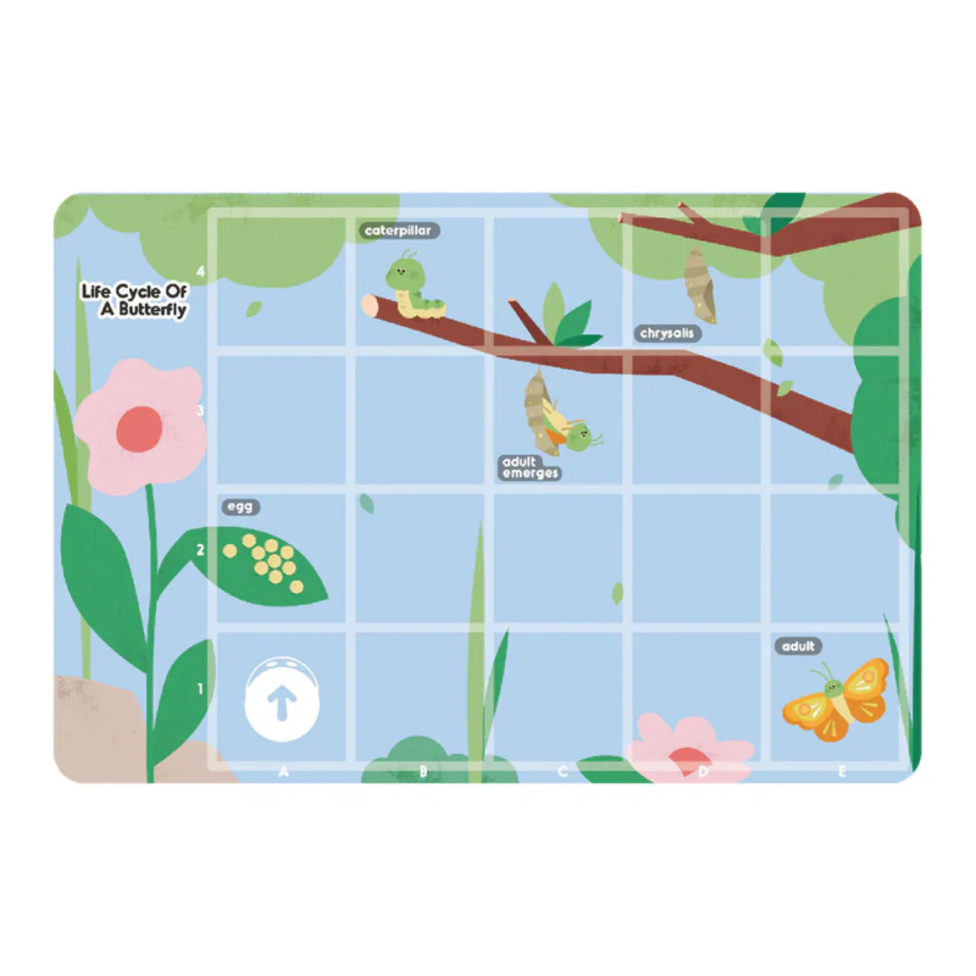 MatataStudio Tale-Bot Pro Exploration Maps - Science - Image 4